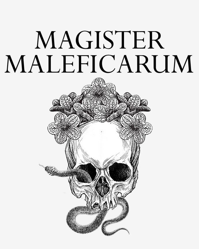 Magister Maleficarum: el Diablo en la brujería tradicional